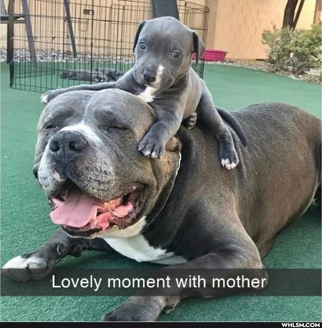 Lovely moment with mother
