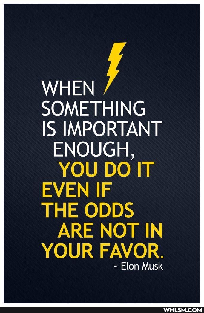 WHEN f
SOMETHING
IS IMPORTANT ENOUGH,
YOU DO IT
EVEN IF
THE ODDS ARE NOT IN
YOUR FAVOR.
~ Elon Musk