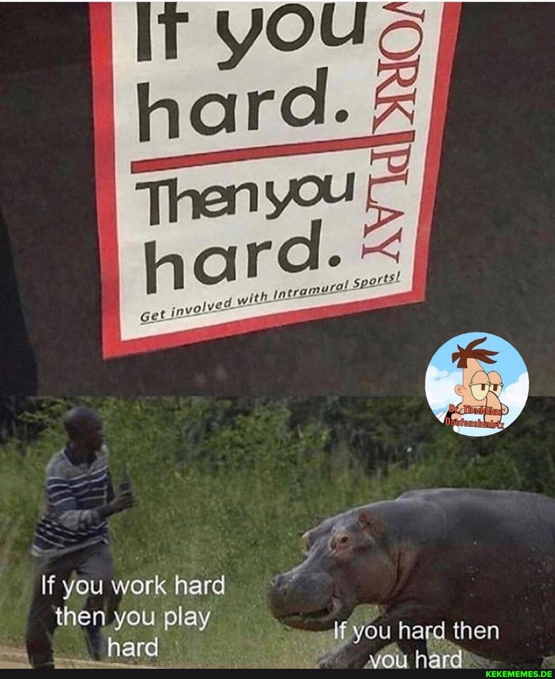 If you work hard then you play hard you hard then