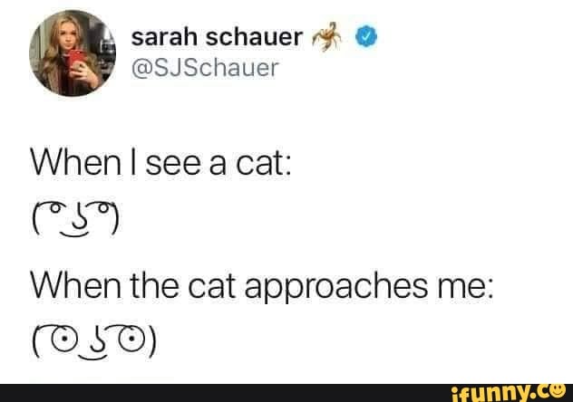 sarah schauer
@SJSchauer
When I see cat:
When the cat approaches me: