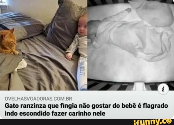 OVELHA! Al IM.BR Gato ranzinza que fingia não gostar do bebê é flagrado indo escondido fazer carinho nele