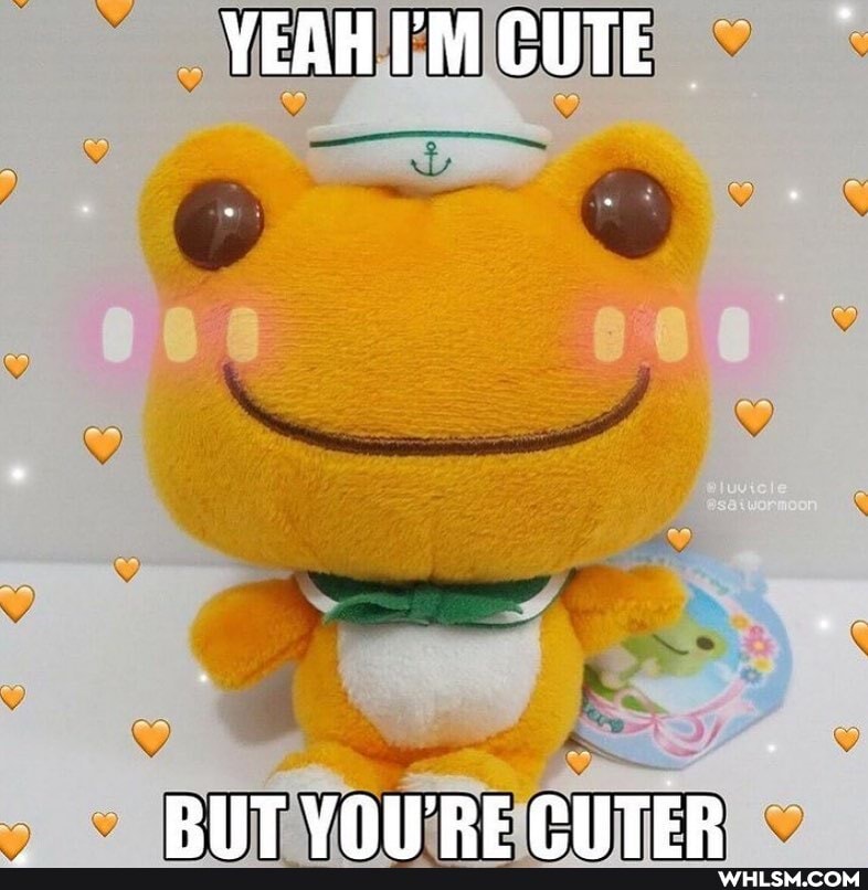 YEAH I'M CUTE
BIT VOIPRE CIITER