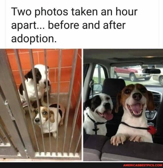 Two photos taken an hour apart... before and after adoption.