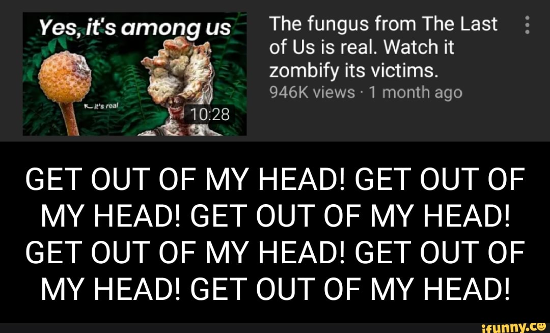 Yes It S Among Us The Fungus From The Last Of Us Is Real Watch It Zombify Its Victims 946k Views 1 Month Ago Get Out Of My Head Get Out Of My