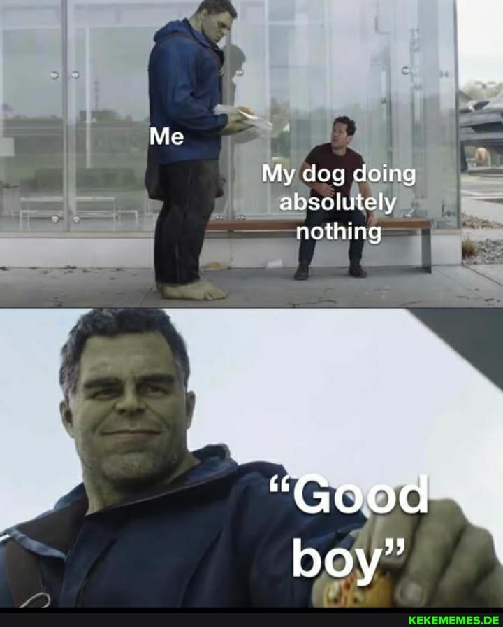 My dog doing abscoiutely nothing
"Good