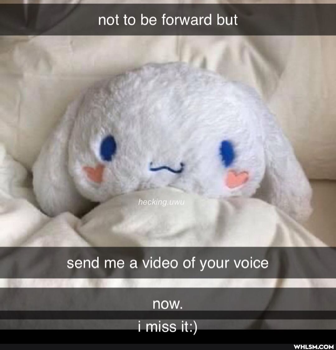 not to be forward but
te
send me a video of your voice
now.
i miss it:)