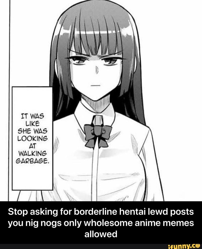 borderline hentai lewd posts you nig nogs only wholesome anime memes allowe...