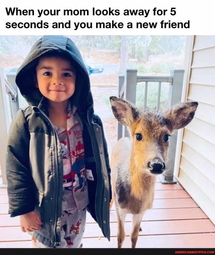 When your mom looks away for 5
seconds and you make a new friend