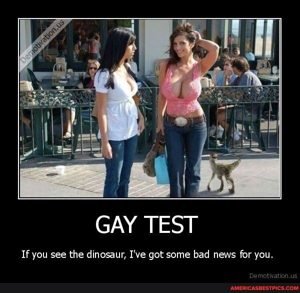 Gay picture test are you If You