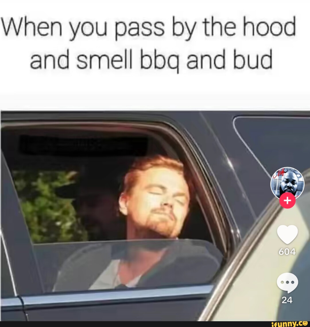 Bbq memes. Best Collection of funny Bbq pictures on iFunny