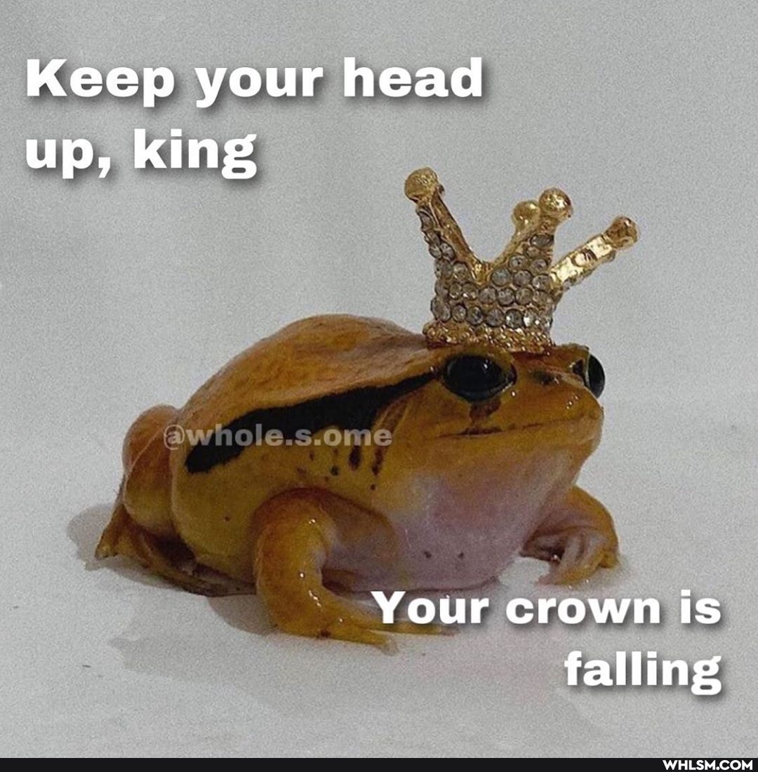 Keep your head up, king
@whole.s.ome
Your crown is falling