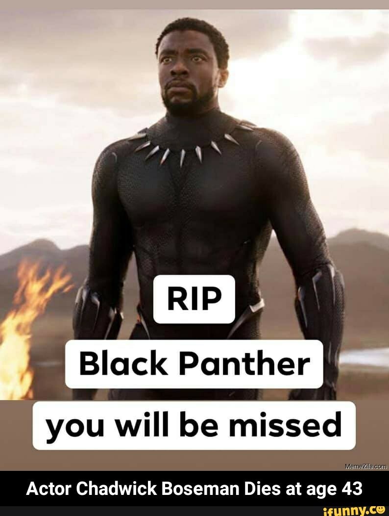 Nigger Man Black Panther Meme