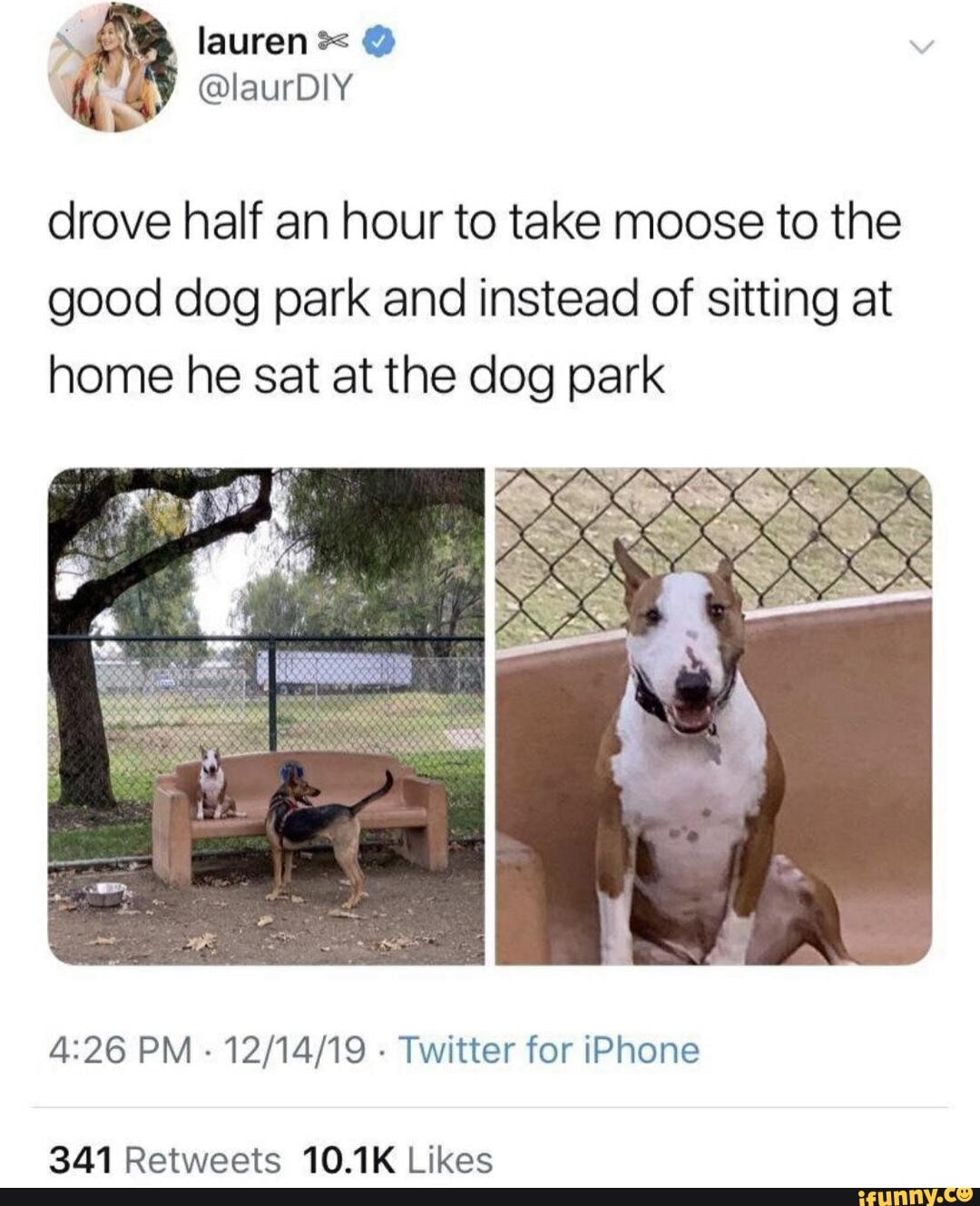 lauren= @
@laurDIY drove half an hour to take moose to the
good dog park and instead of sitting at home he sat at the dog park
PM - - Twitter for iPhone
