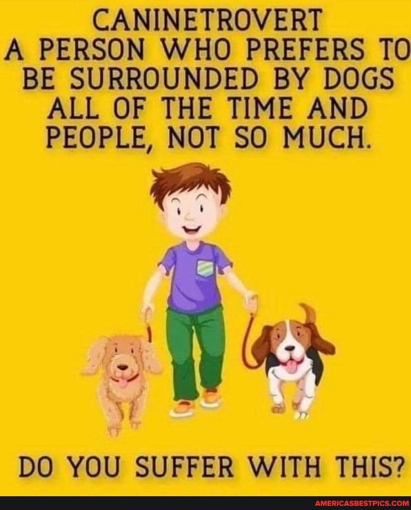 CANINETROVERT A_ PERSON WHO PREFERS TO BE SURROUNDED BY DOGS ALL OF THE TIME AND PEOPLE, NOT SO MUCH.
mm
DO YOU SUFFER WITH THIS?
