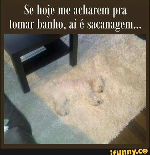 Se hoje me acharem pra
tomar banho, aí é sacanagem...