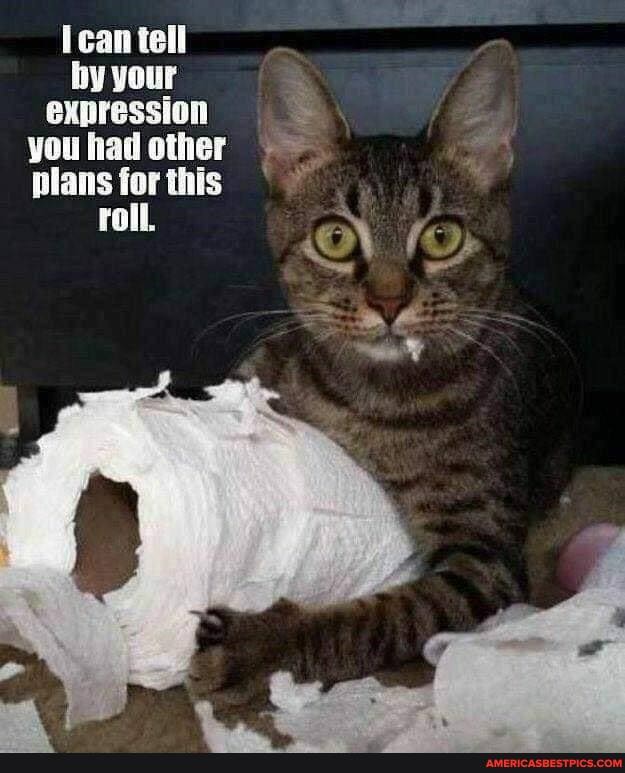 Tean tell by your expression you had other plans for this roll.