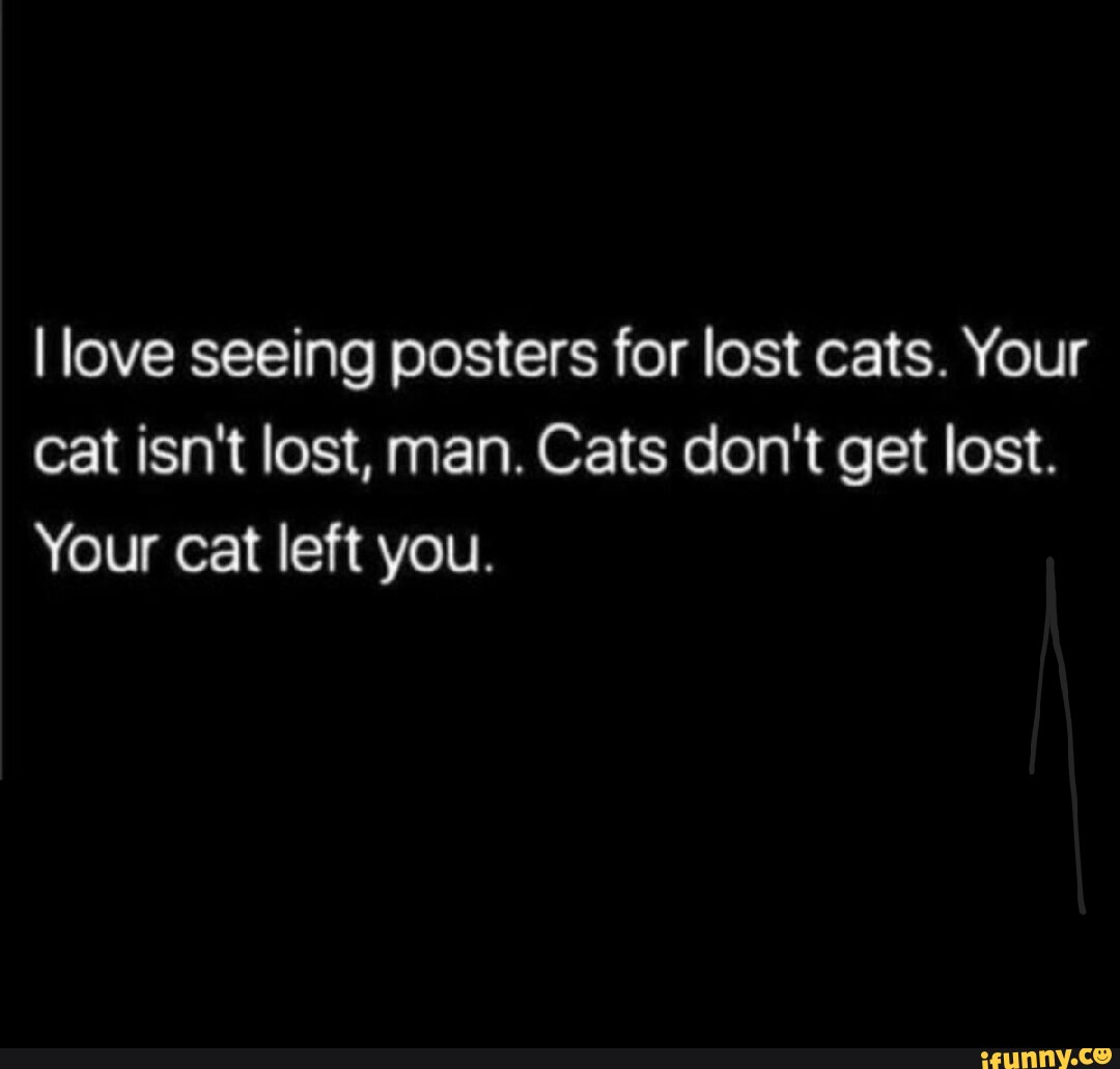 i-love-seeing-posters-for-lost-cats-your-cat-isn-t-lost-man-cats-don