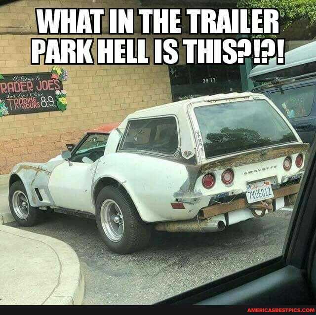 WHAT IN THE TRAILER PARK HELLIS THIS?