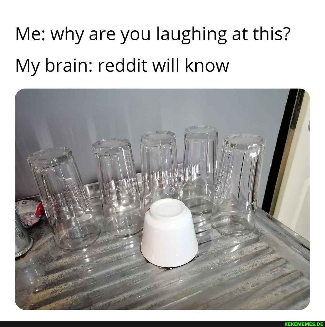 Me: why are you laughing at this?
My brain: reddit will know