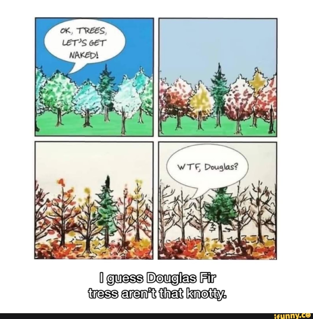 WT knotty (guess Douglas Fir tress arant thar )