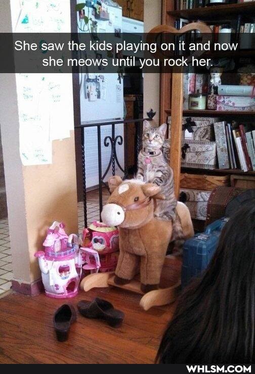 She saw the kids playing on it and now she meows until you rock her.