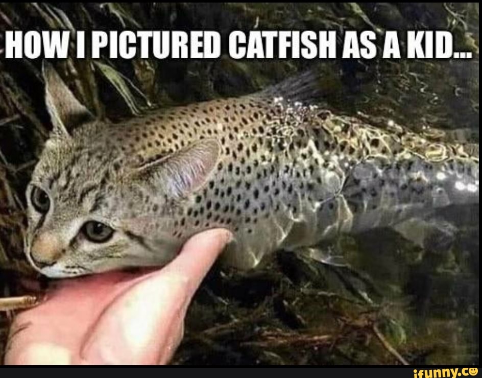 HOW PICTURED CATFISH AS A KID_" iFunny