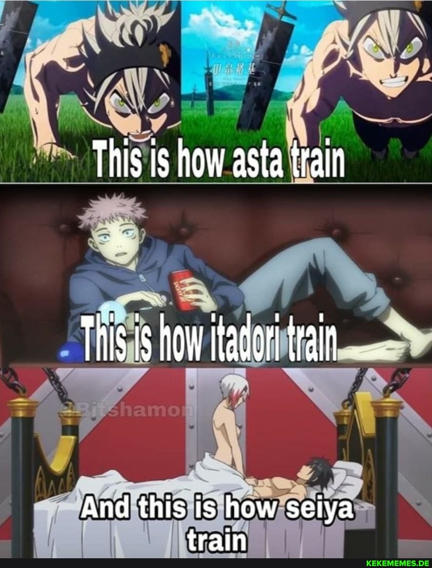This is how asta train Thisis how tadon And this is how selya train