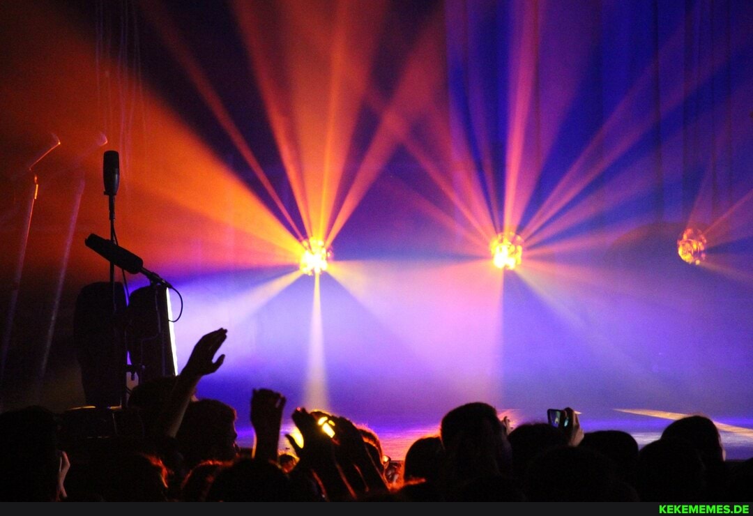 took, year, concert, really, like, vibe, transmits