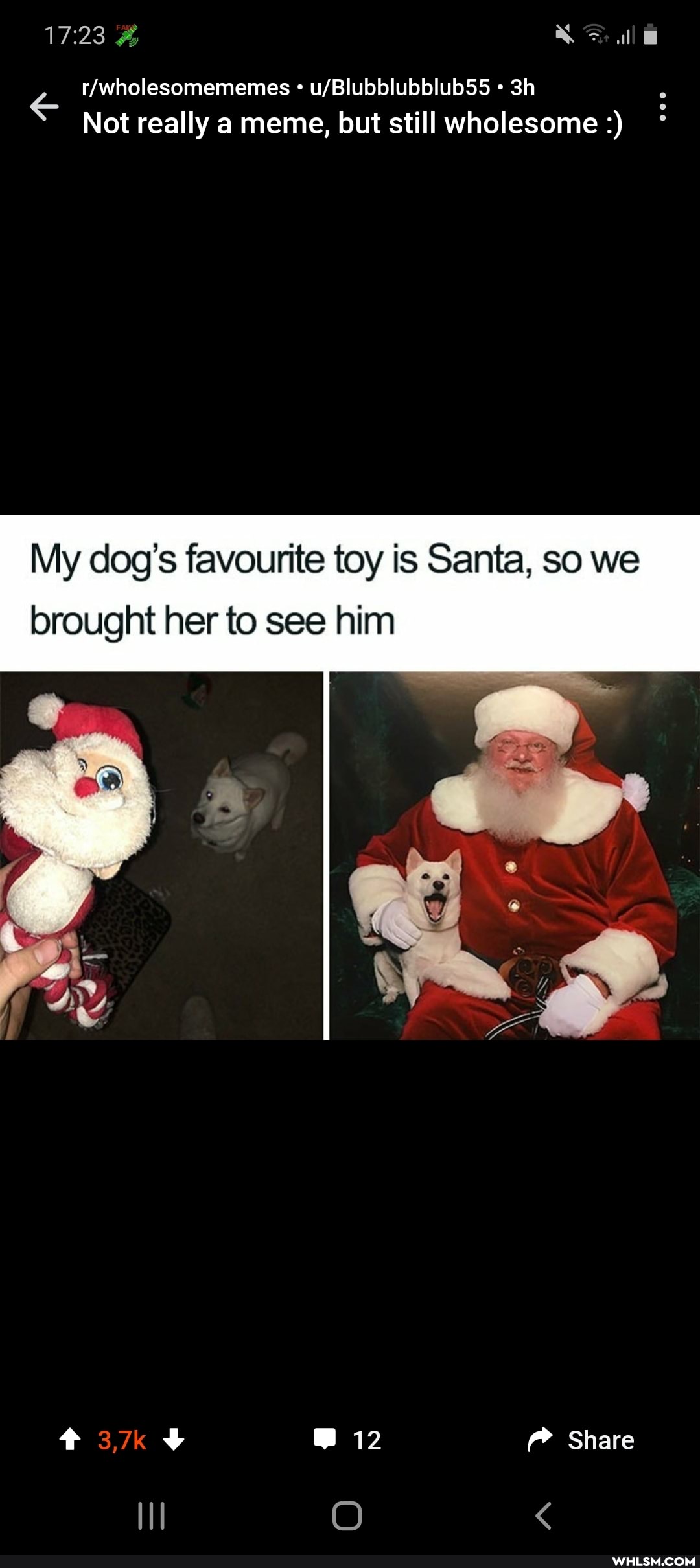 ll
Not really a meme, but still wholesome
My dog's favourite toy is Santa, so we
brought her to see him
@ 12 Share
3,7k
O <