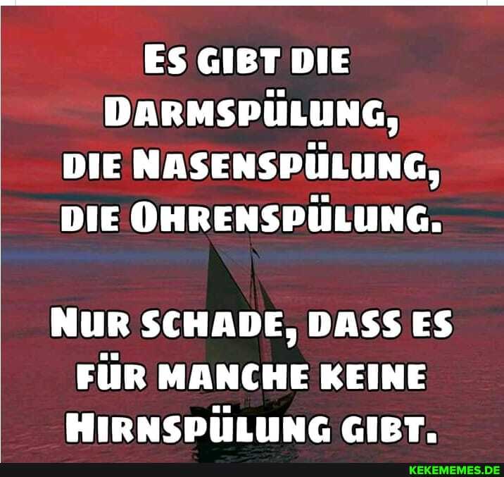 ES GIBT DIE DARMSPÜLUNG,
DIE NASENSPÜLUNG,
DIE OHRENSPÜLUNG.
NUR SCHADE, DASS ES FÜR MANCHE KEINE HIRNSPÜLUNG GIBT.
