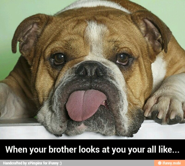 When your brother looks at you your all like... - When your brother looks at you your all like...
