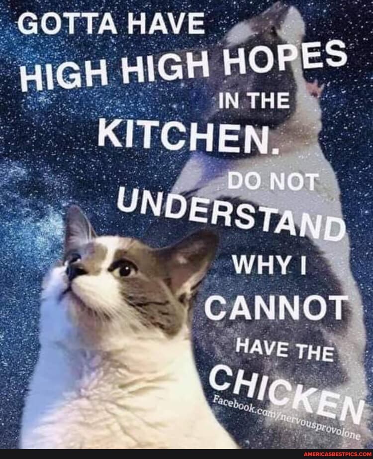 GOTTA HAVE HIGH H! HIGH BO
Ce
NOT
HAVE
in