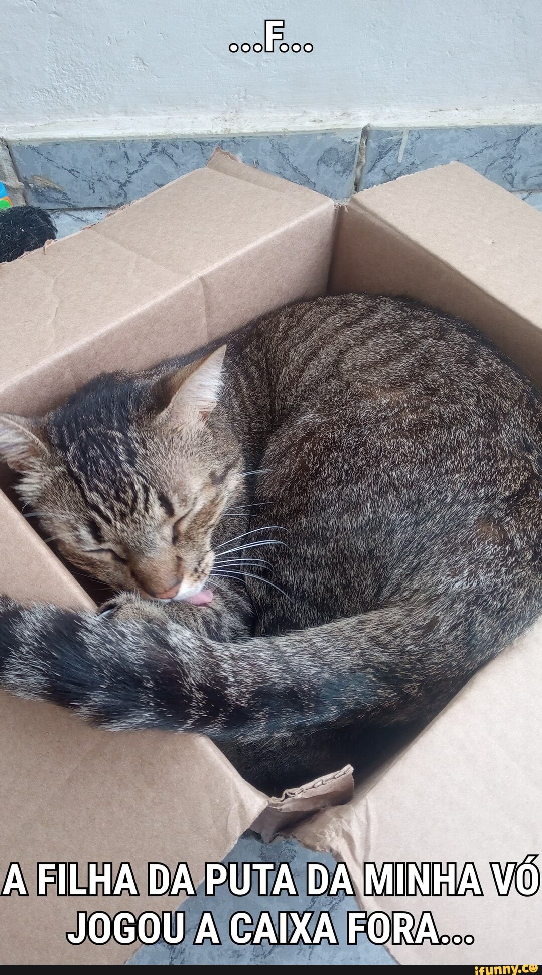 A FILHA DA PUTA DA MINHA VÔ JOGOU À CAIXA FORA...