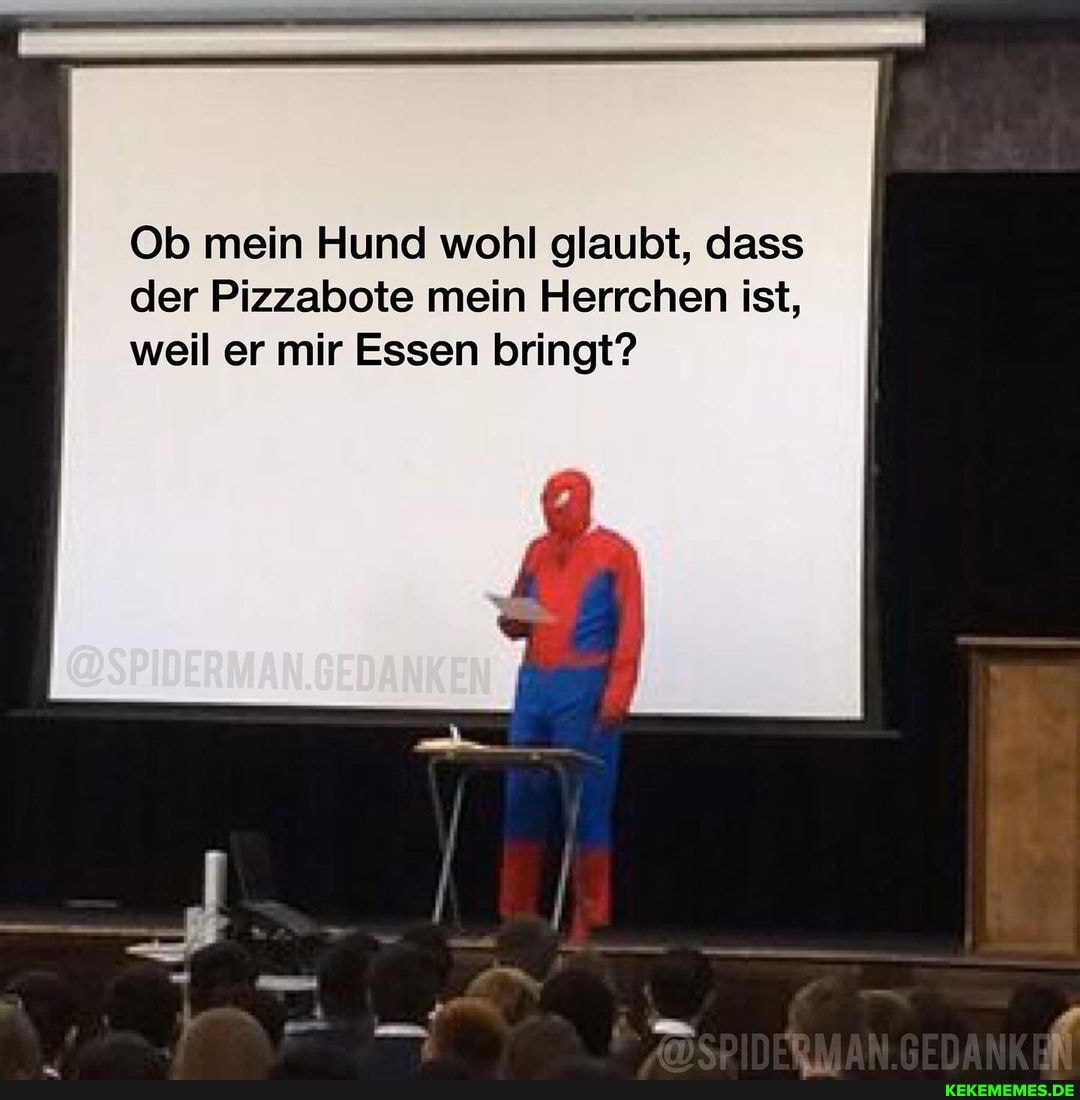 Ob mein Hund wohl glaubt, dass der Pizzabote mein Herrchen ist, weil er mir Essen bringt?