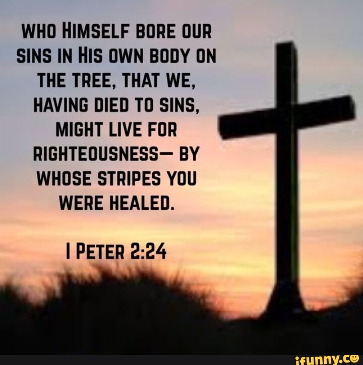 WHO HIMSELF BORE OUR SINS IN HIS OWN BODY ON THE TREE, THAT WE, HAVING ...