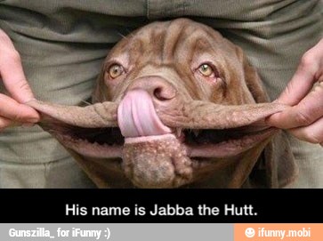 His name is Jabba the Hutt. - His name is Jabba the Hutt.