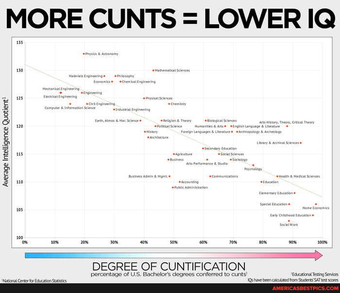 MORE CUNTS = LOWER IQ Average Intelligence Quotient Quotient