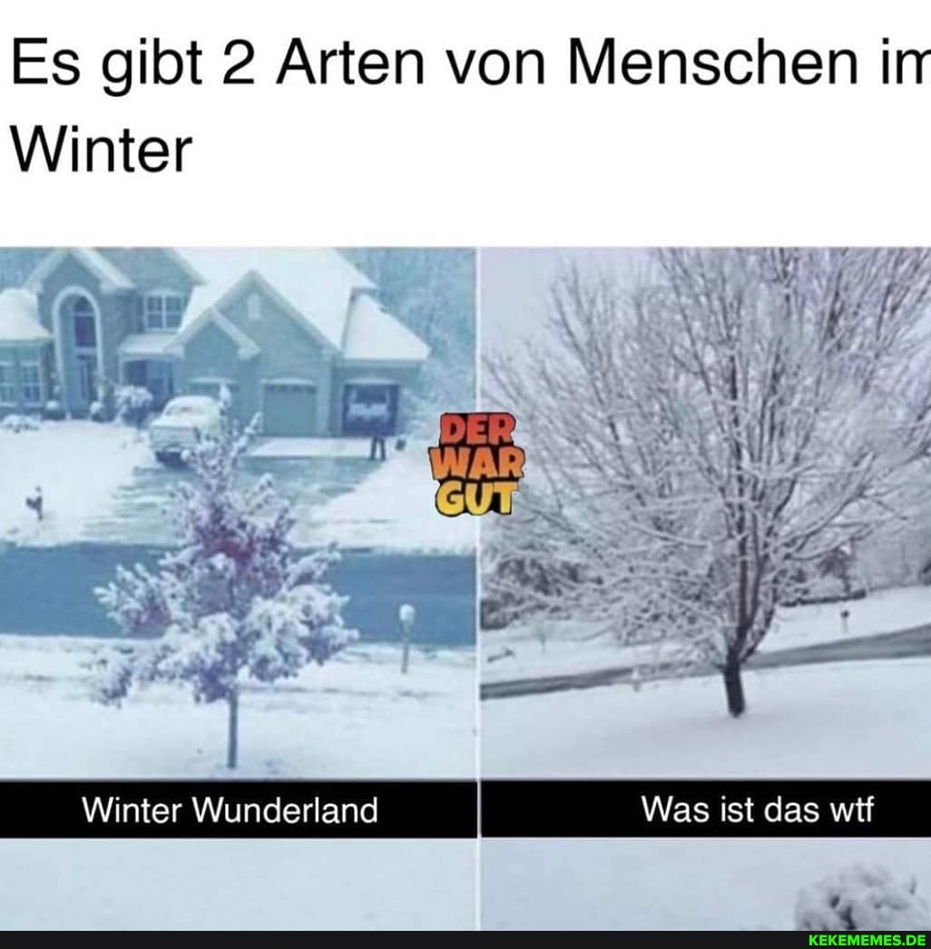 Es gibt 2 Arten von Menschen in
Winter
Winter Wunderland Was ist das wif