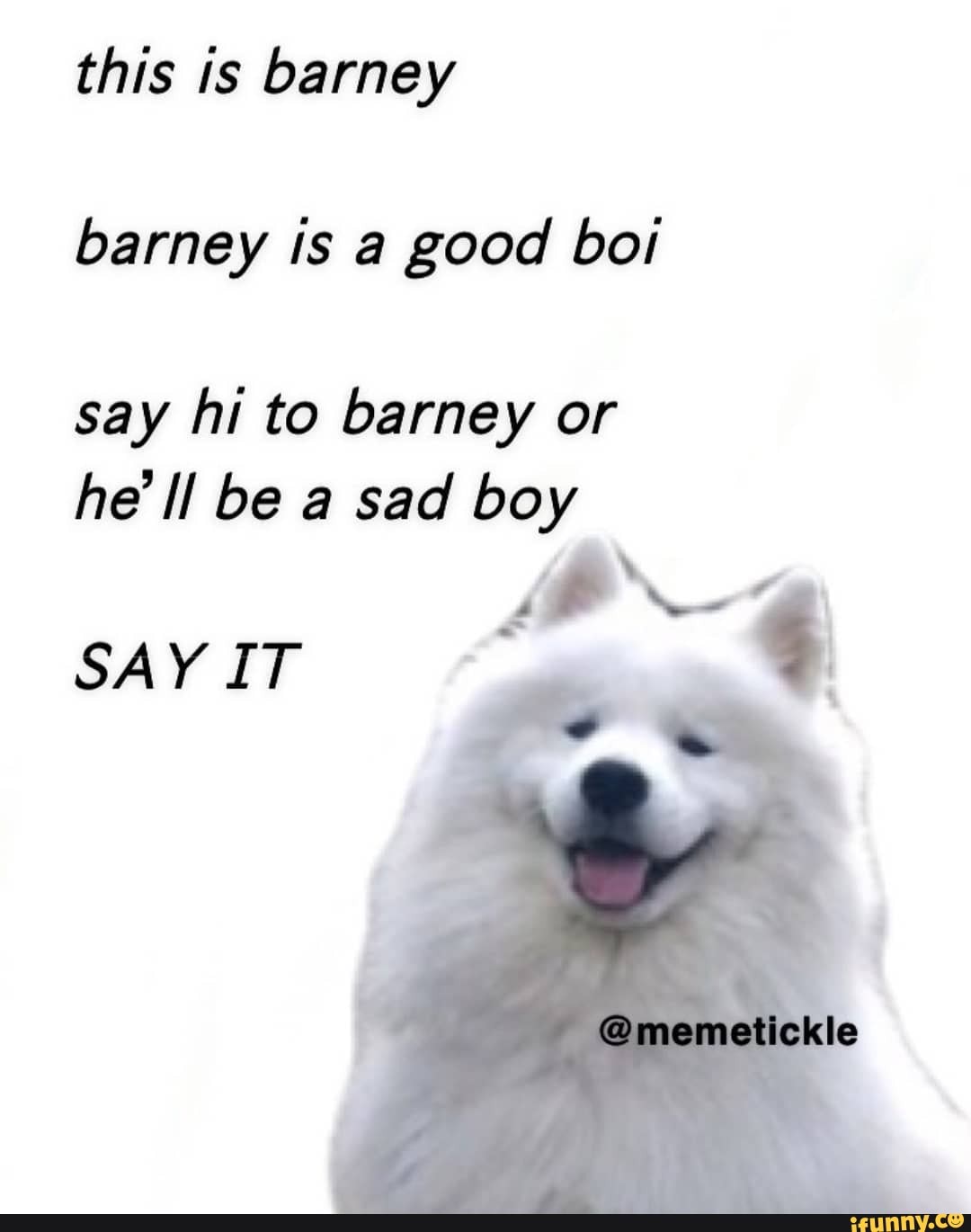 this is barney barney is a good boi
say hi to barney or he' ll be a sad boy
SAY IT