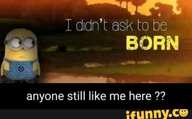 T didn't ask to be BORN anyone still like me here - iFunny