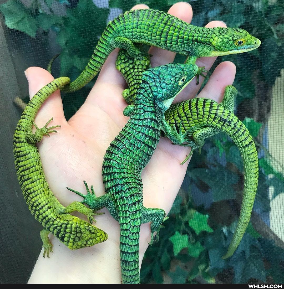 awesome, the_more_you_know, mildly_interesting, amazing