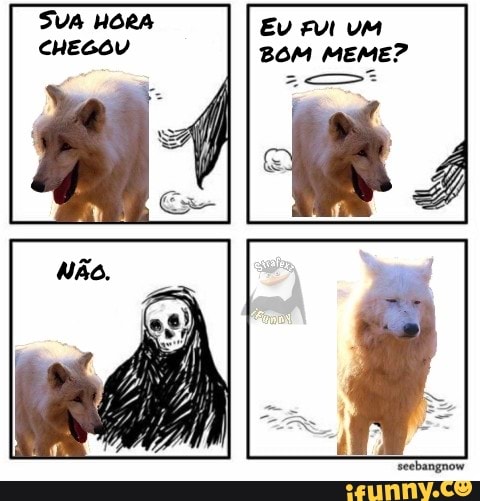 CHEGOU BOM MEME?