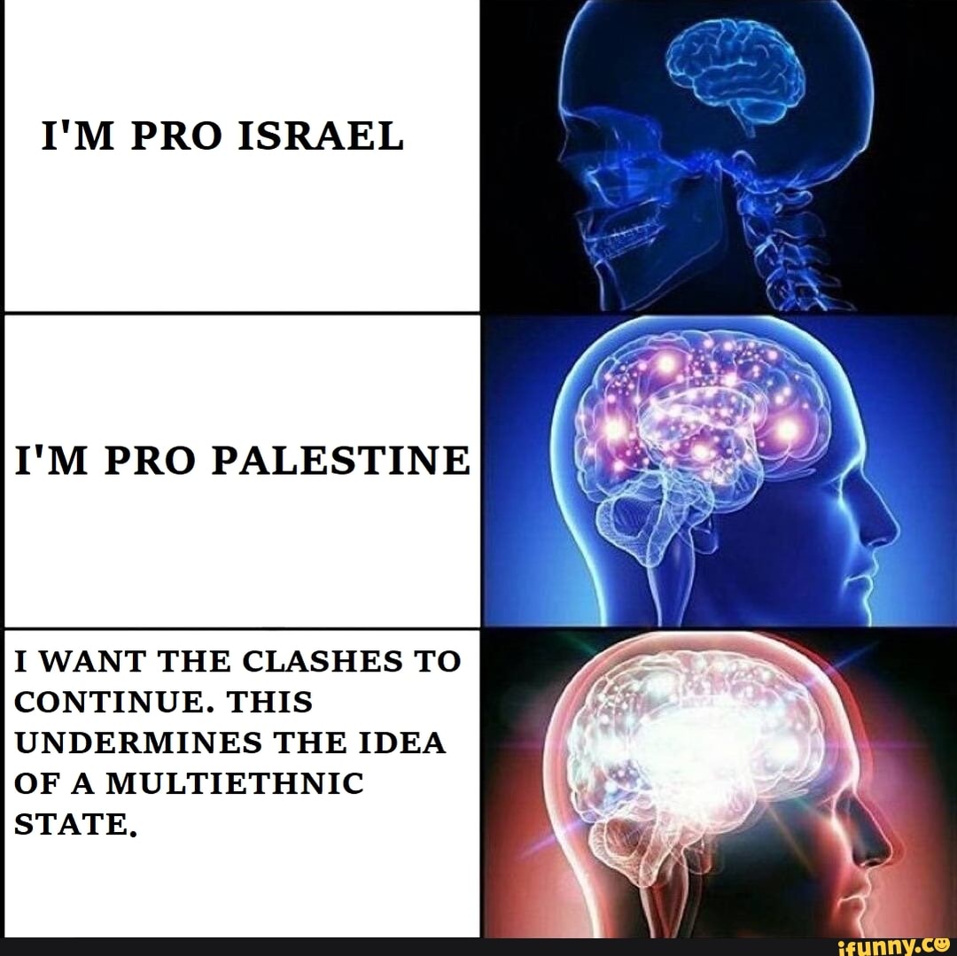 I'M PRO ISRAEL
I'M PRO PALESTINE
I WANT THE CLASHES TO CONTINUE. THIS UNDERMINES THE IDEA OF A MULTIETHNIC STATE,