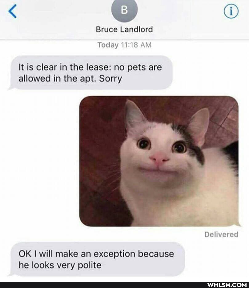 Bruce Landlord
Today AM
It is clear in the lease: no pets are allowed in the apt. Sorry
Delivered
OK I will make an exception because he looks very polite
