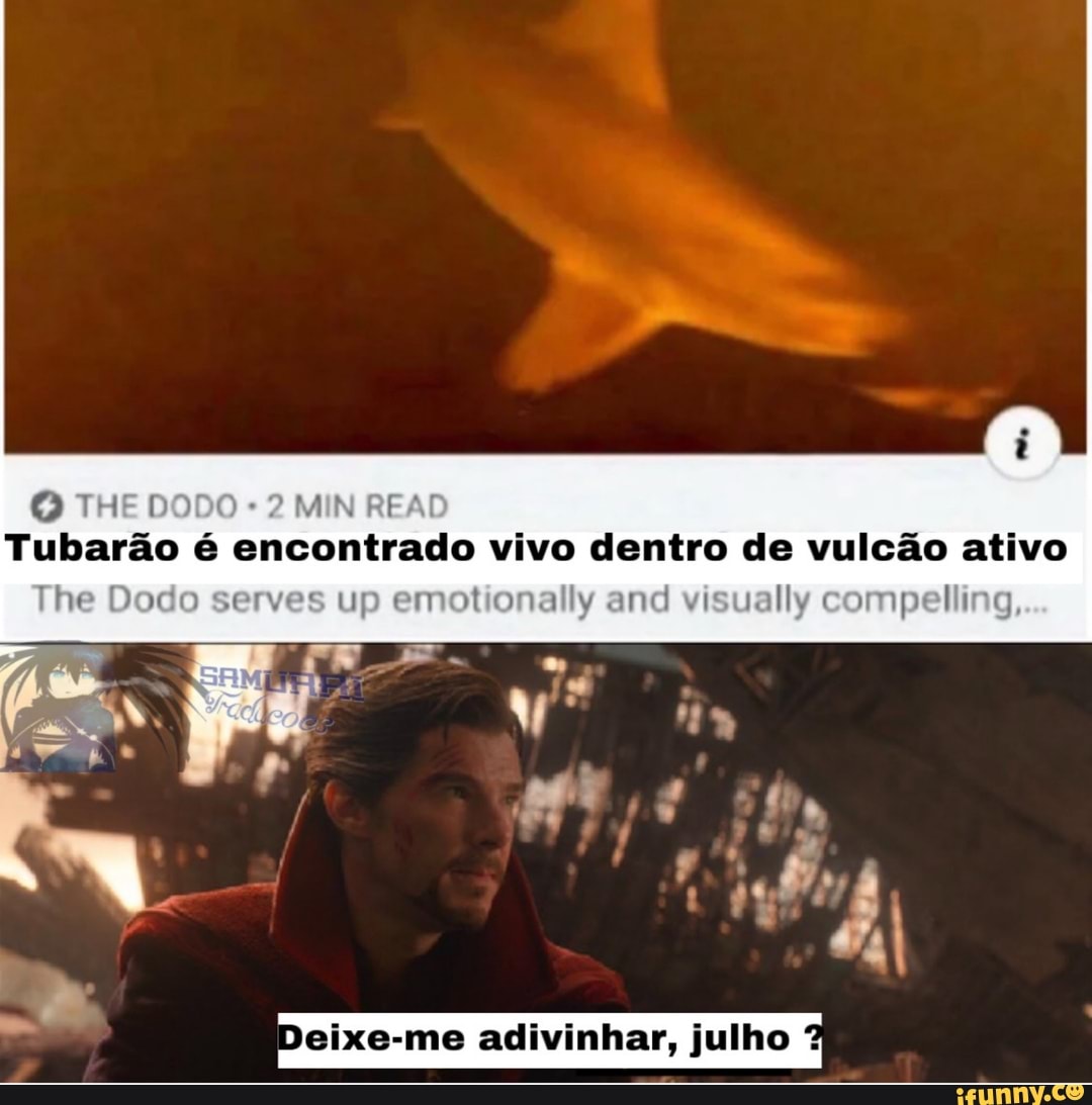 Tubarão é encontrado vivo dentro de vulcão ativo
The Dodo serves up emotionally and ENE), compelling,