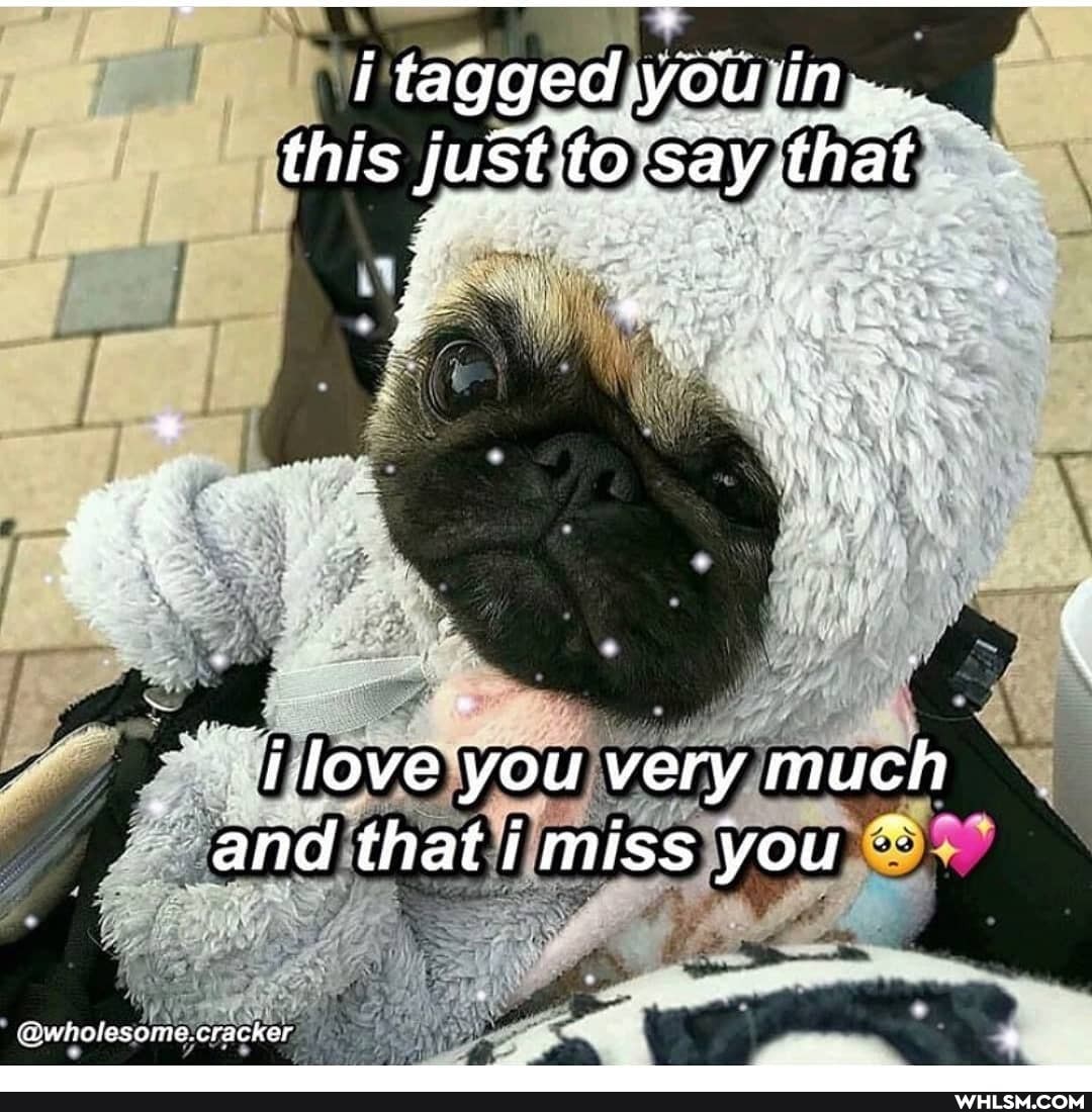 i tagged this justito say, that
<jlove you very much and that i miss you
Cwholesome.cracker