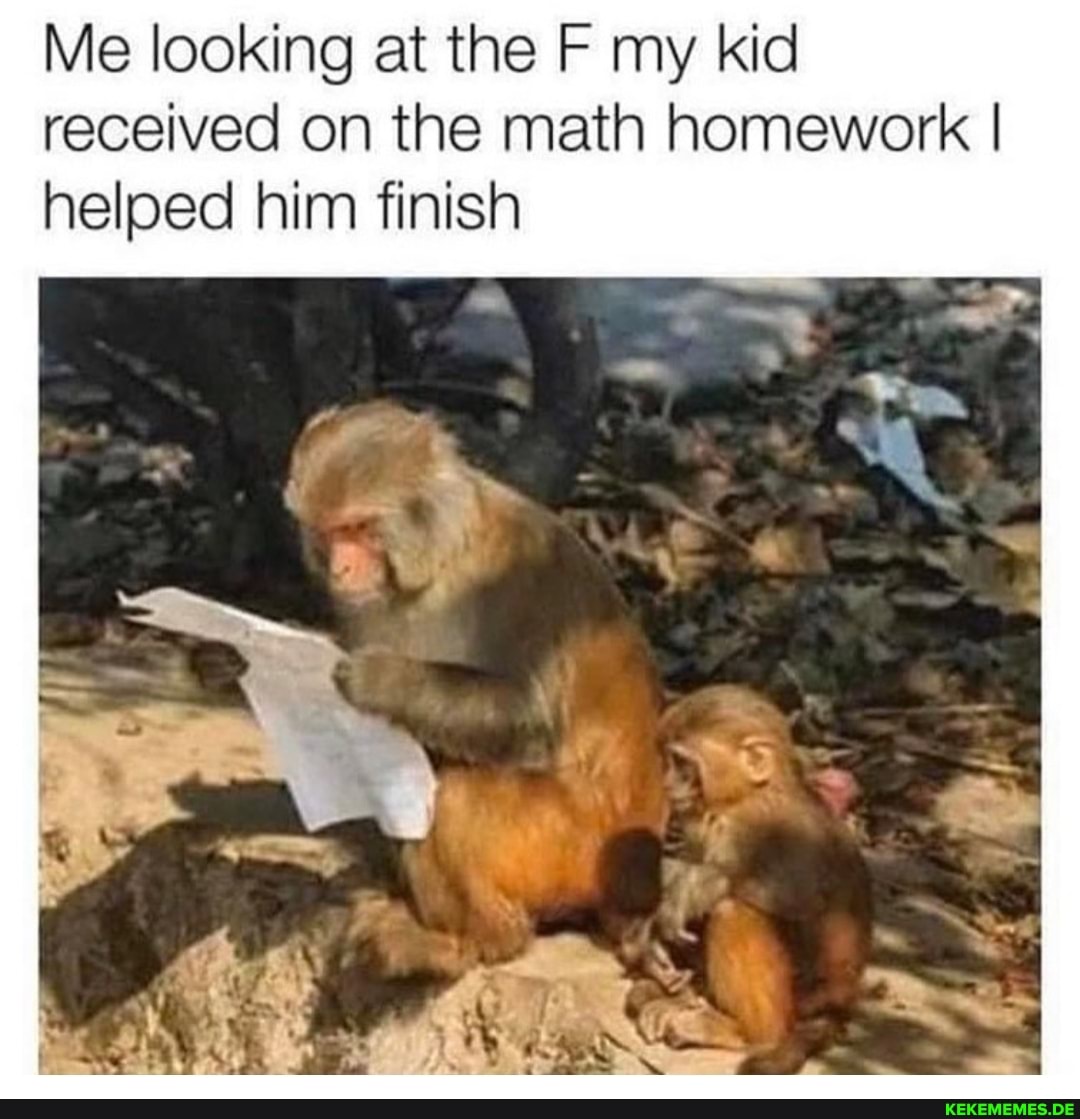 Me looking at the F my kid received on the math homework I helped him finish