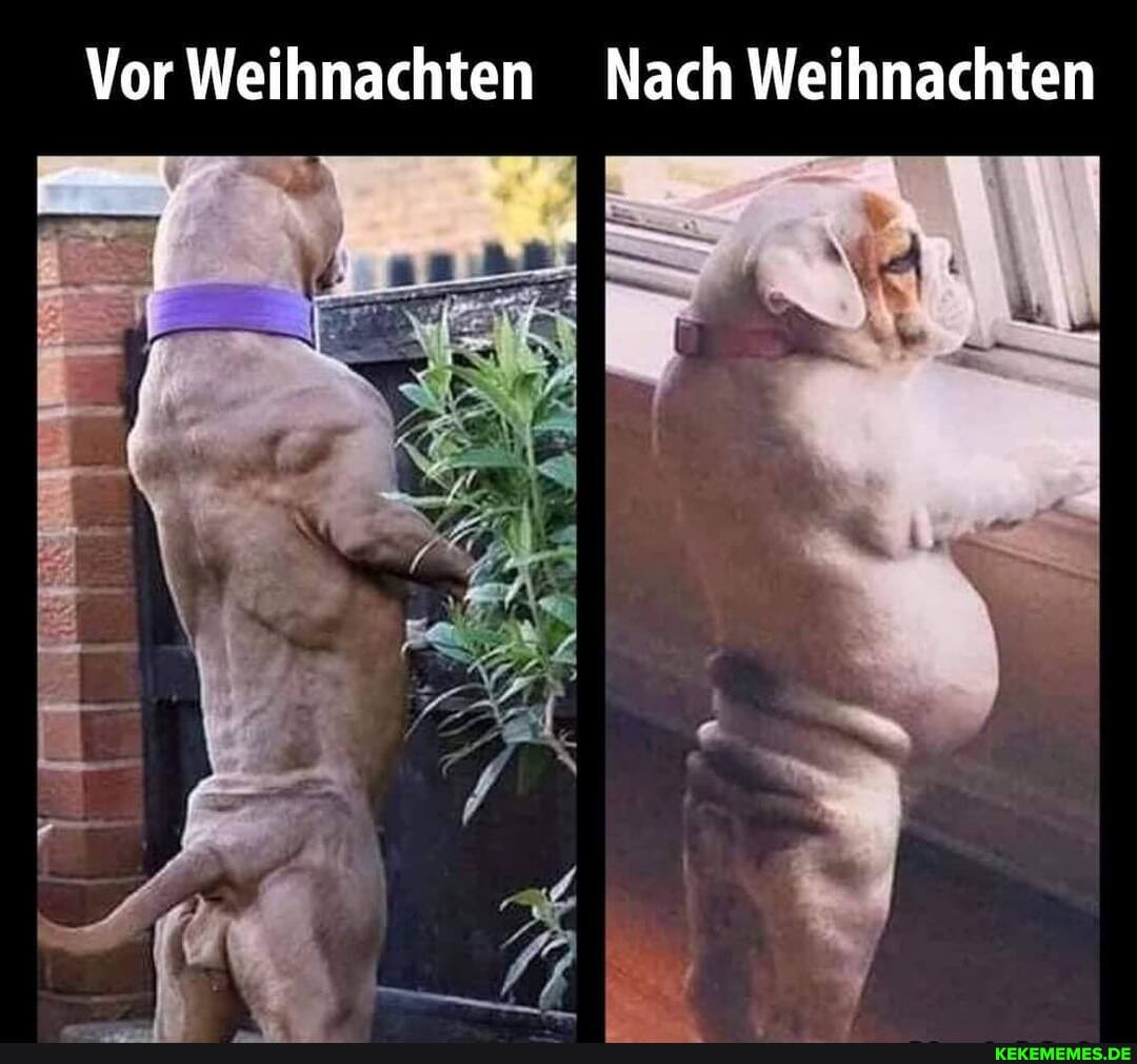 Vor Weihnachten Nach Weihnachten