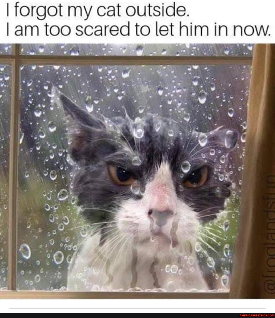 I forgot my cat outside.
I am too scared to let him in now.
Ve