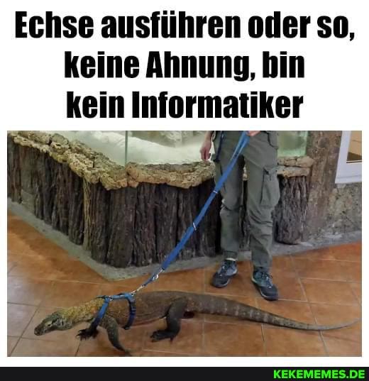 Echse ausführen oder so, keine Ahnung, bin kein Informatiker